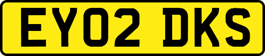 EY02DKS