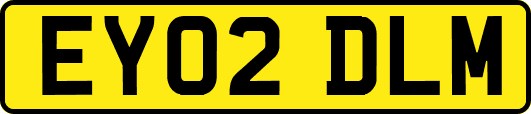 EY02DLM