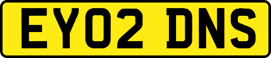 EY02DNS