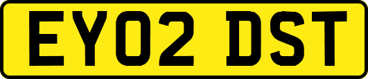 EY02DST