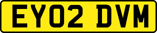 EY02DVM