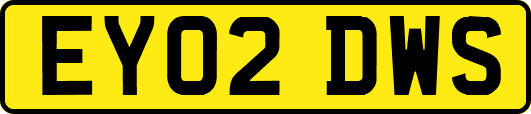EY02DWS