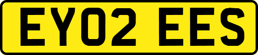 EY02EES