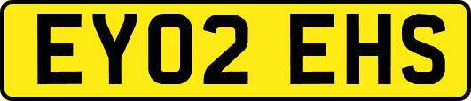 EY02EHS