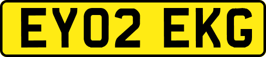 EY02EKG