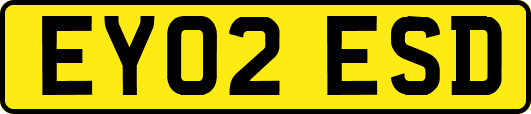 EY02ESD