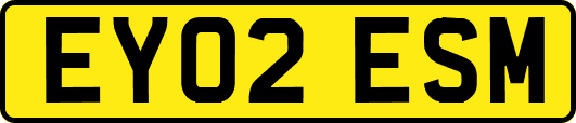 EY02ESM