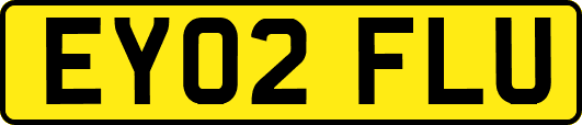 EY02FLU