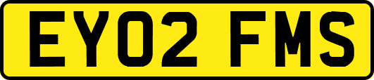 EY02FMS