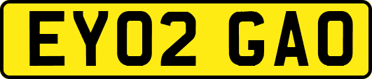 EY02GAO