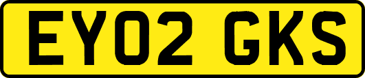 EY02GKS