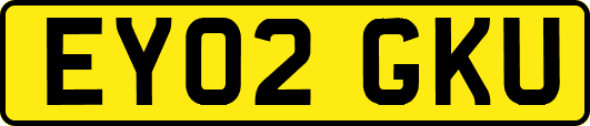 EY02GKU