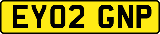 EY02GNP