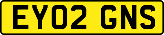 EY02GNS