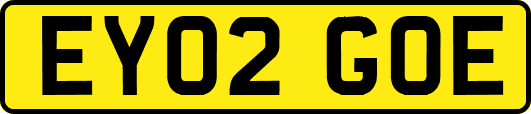 EY02GOE