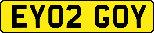 EY02GOY