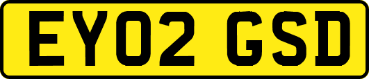 EY02GSD