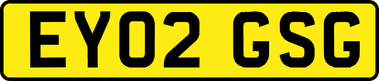EY02GSG