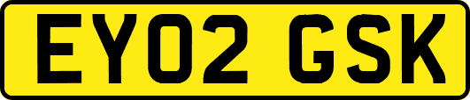 EY02GSK