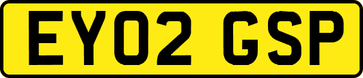 EY02GSP