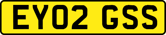 EY02GSS