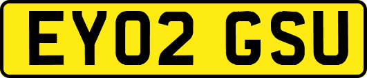 EY02GSU