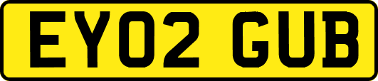 EY02GUB