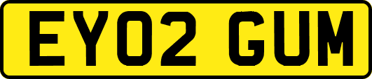 EY02GUM