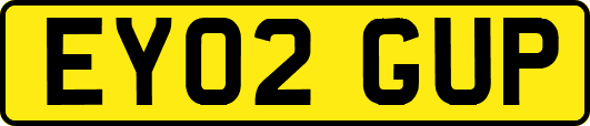 EY02GUP