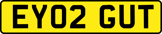 EY02GUT
