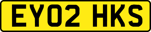 EY02HKS