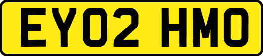 EY02HMO