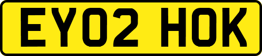 EY02HOK