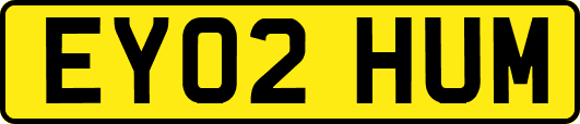 EY02HUM