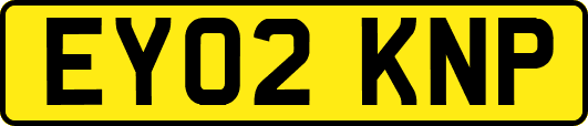 EY02KNP