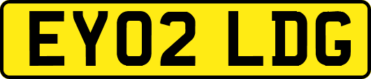 EY02LDG