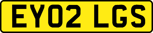 EY02LGS