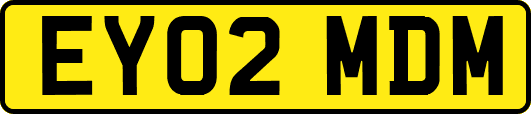 EY02MDM