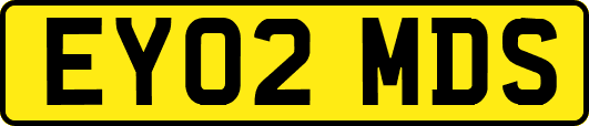EY02MDS