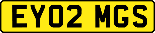 EY02MGS