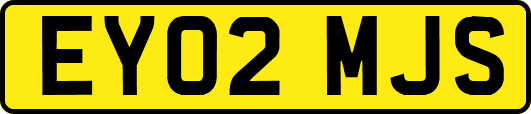 EY02MJS