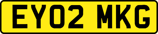 EY02MKG