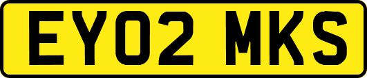 EY02MKS