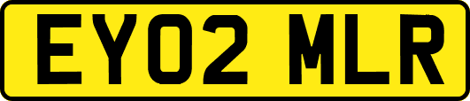 EY02MLR