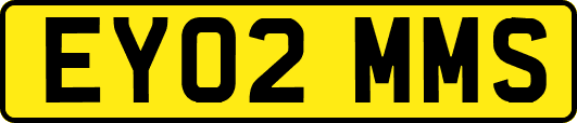 EY02MMS