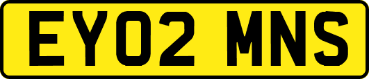 EY02MNS