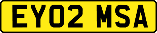 EY02MSA