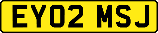 EY02MSJ