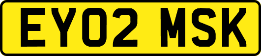 EY02MSK
