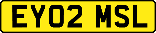 EY02MSL